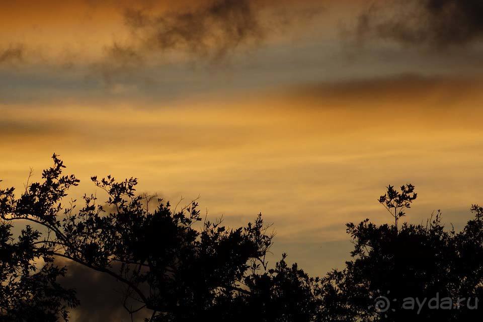 Отдых во Французской Гвиане