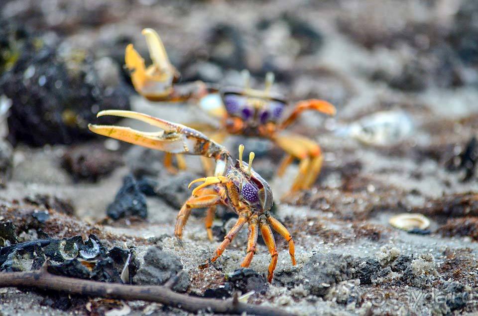 Отдых в Габоне