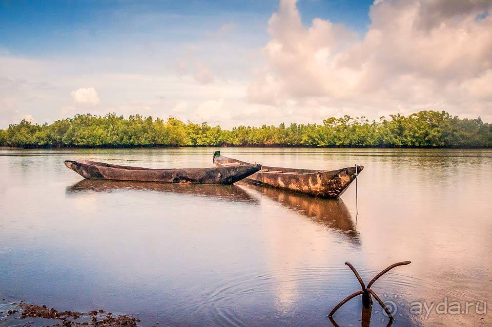 Отдых в Гамбии