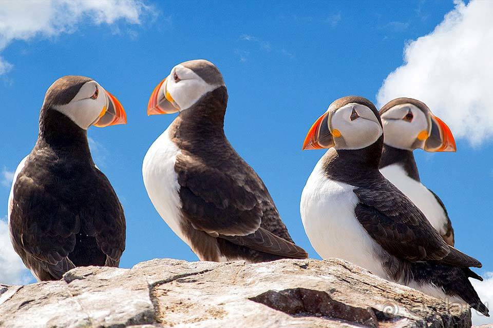 Отдых в Исландии