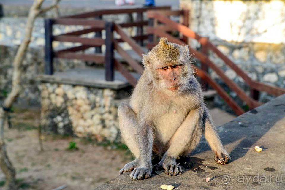 Отдых в Индонезии