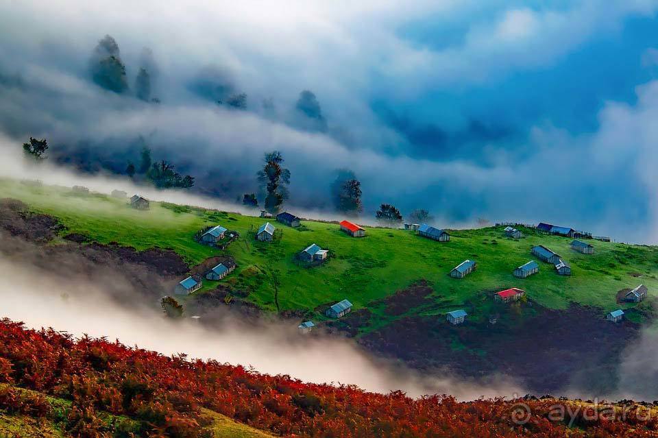 Отдых в Иране