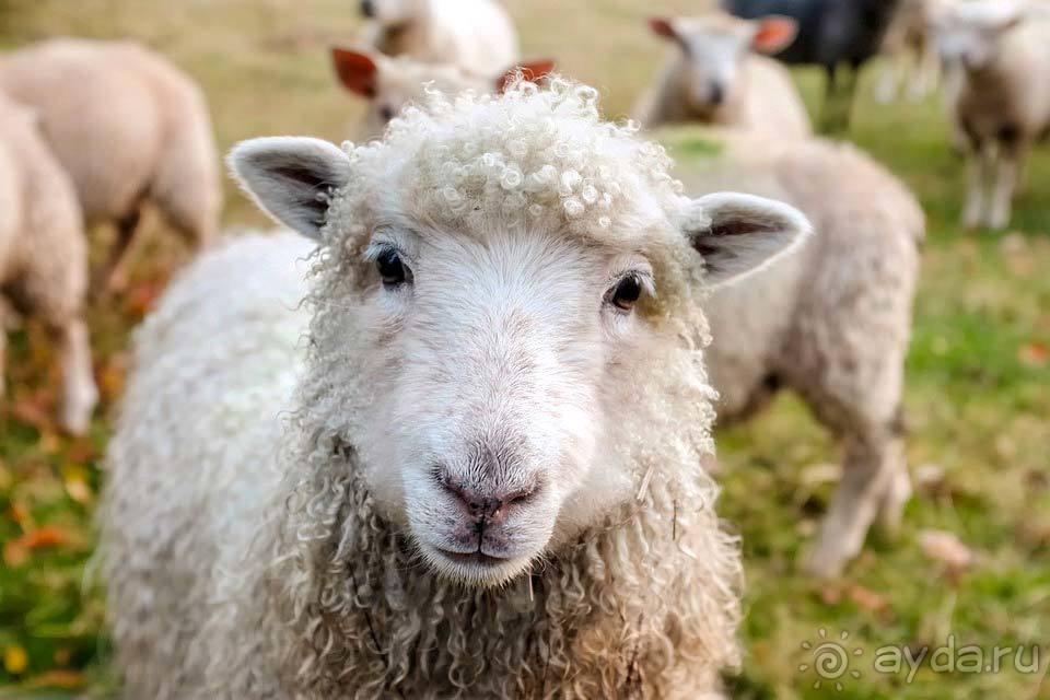 Отдых в Ирландии