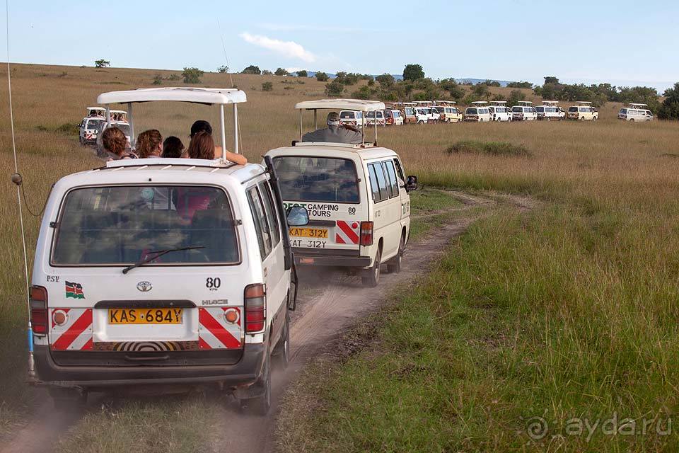 Отдых в Кении