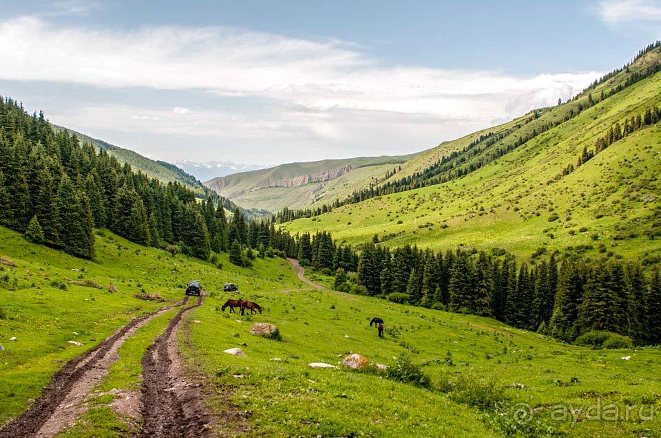 Отдых в Кыргызстане