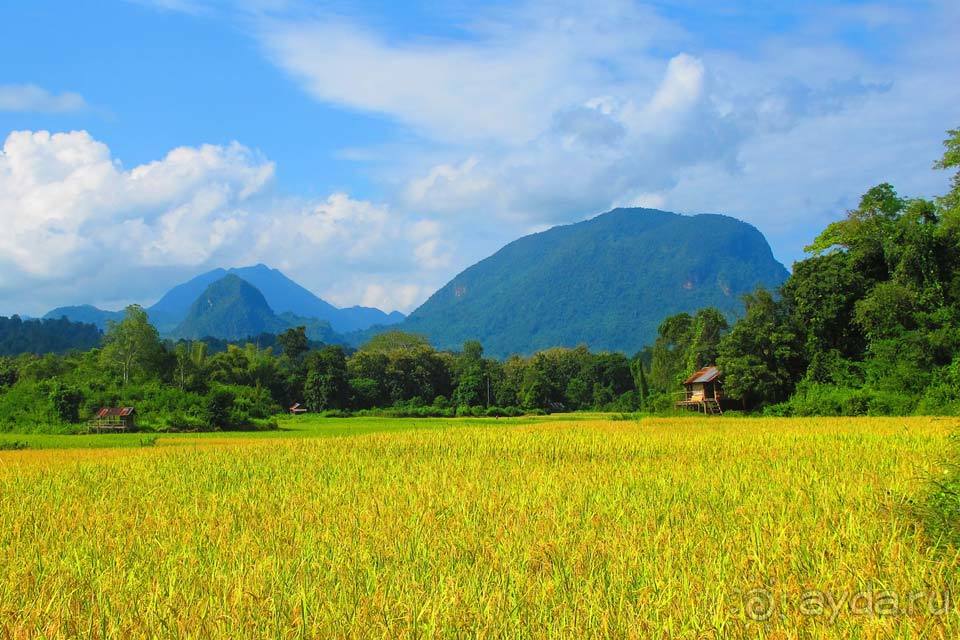 Отдых в Лаосе