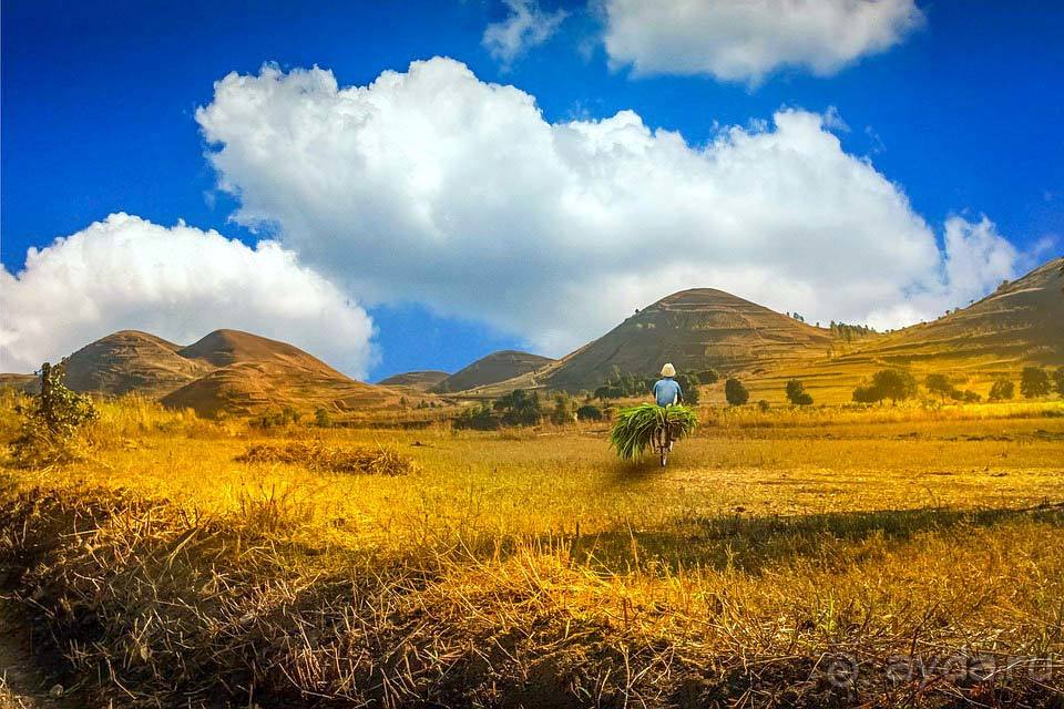 Отдых на Мадагаскаре