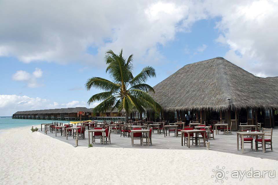 Отдых на Мальдивах