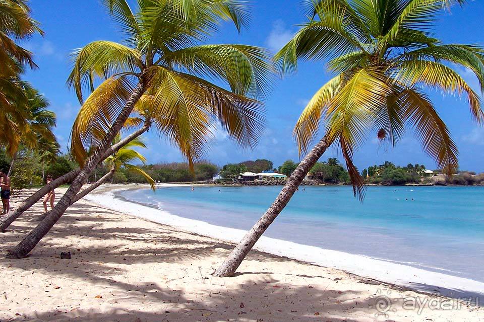 Отдых в Мартинике