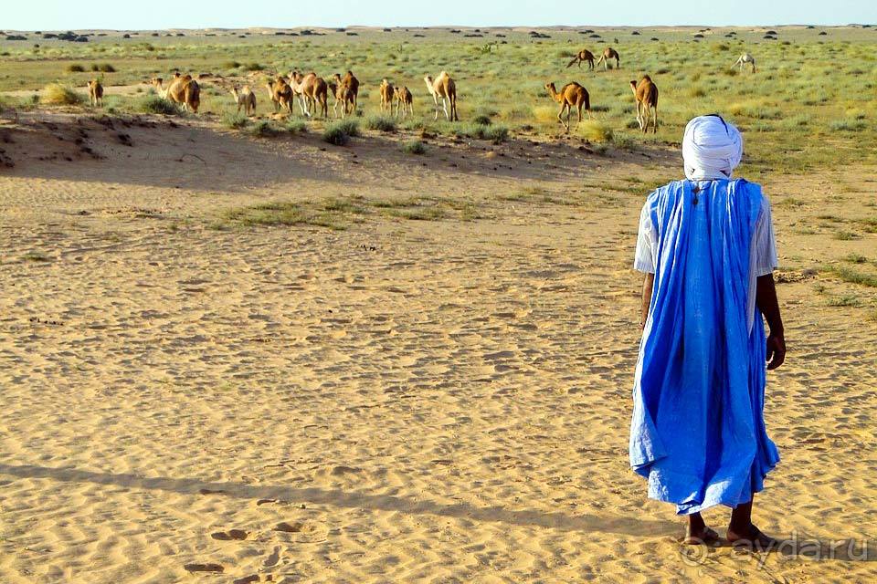 Отдых в Мавритании