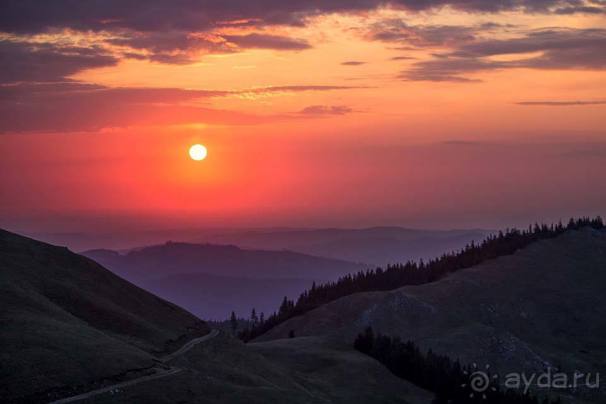 Отдых в Молдавии