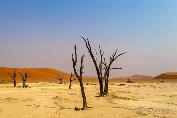 Отдых в Намибии