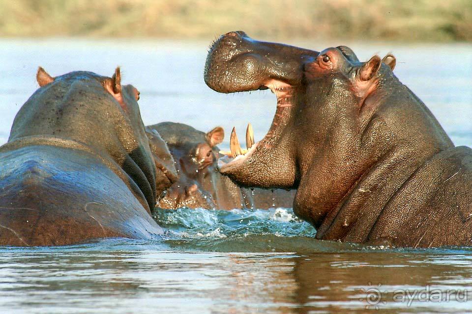 Отдых в Намибии