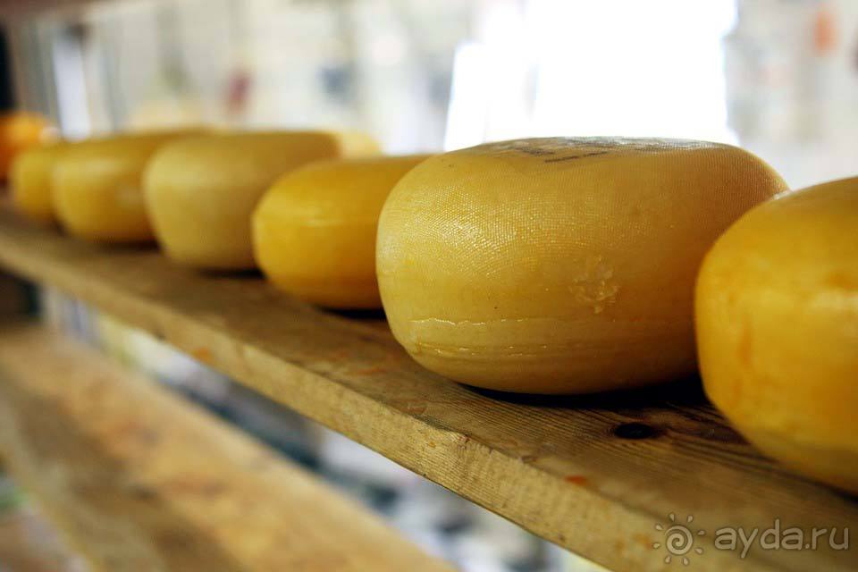 Отдых в Нидерландах