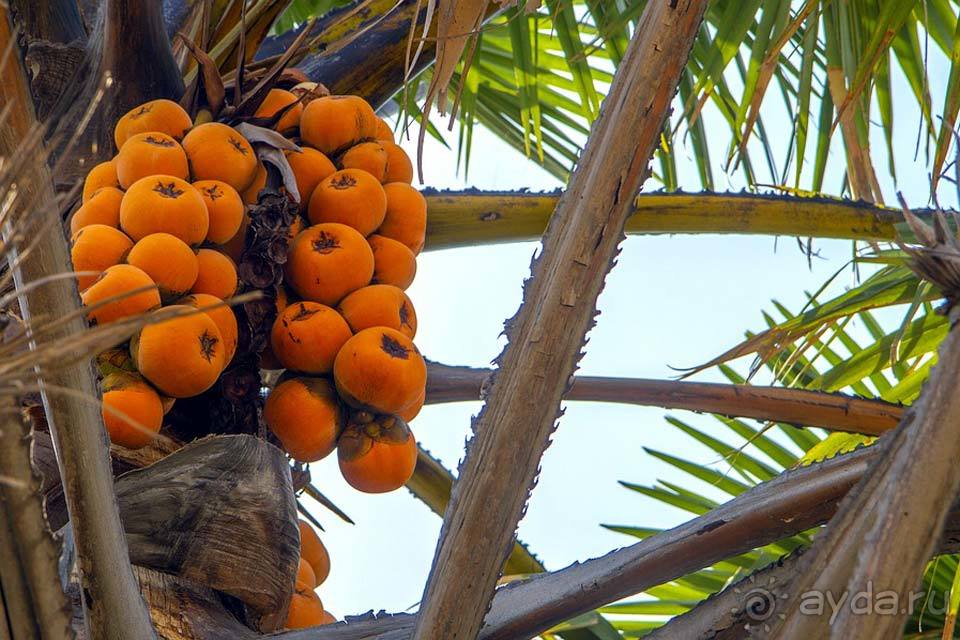 Отдых в Нигерии