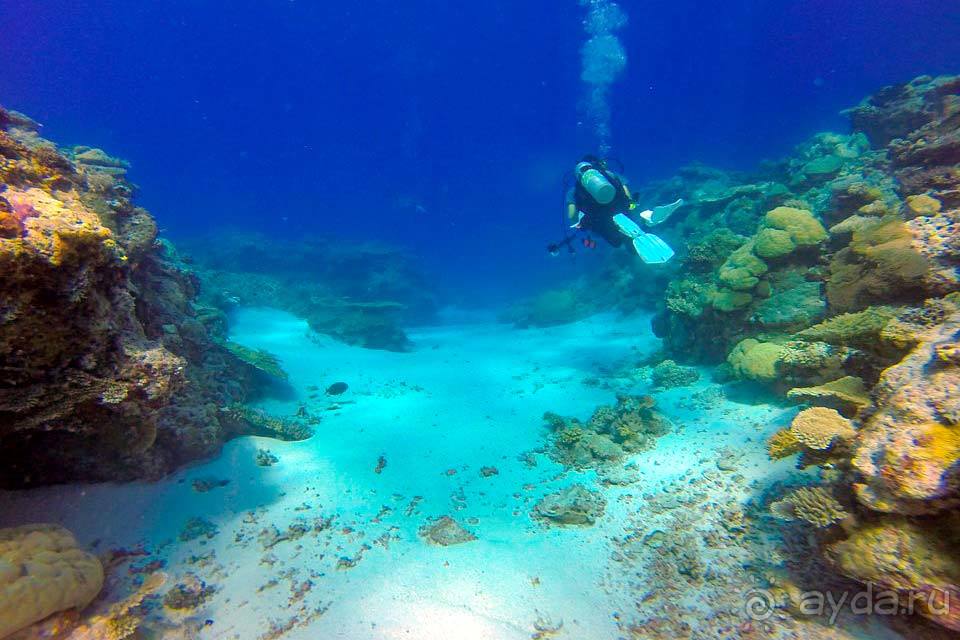 Отдых в Палау