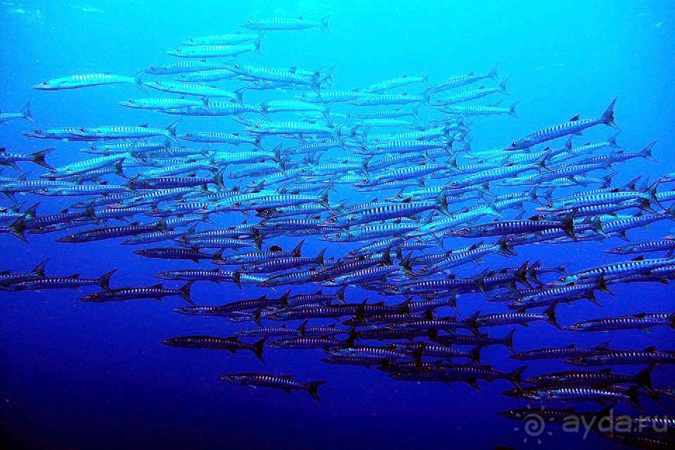 Отдых в Палау