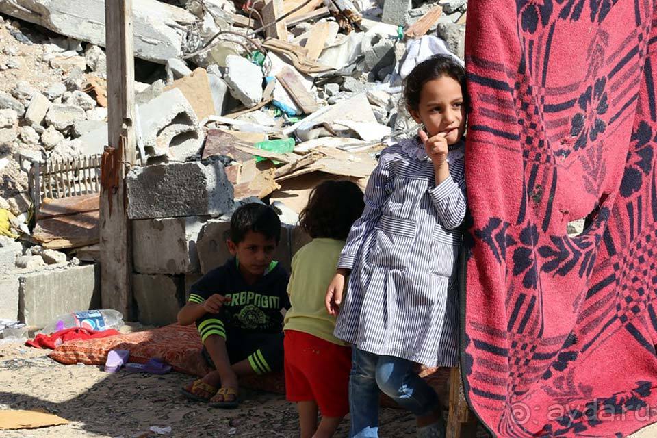 Отдых в Палестине