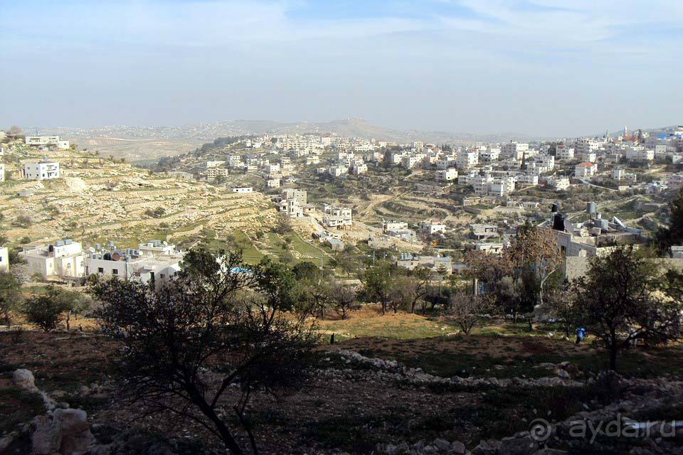 Отдых в Палестине