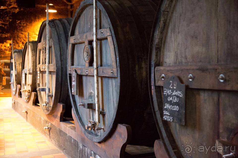 Отдых в Португалии