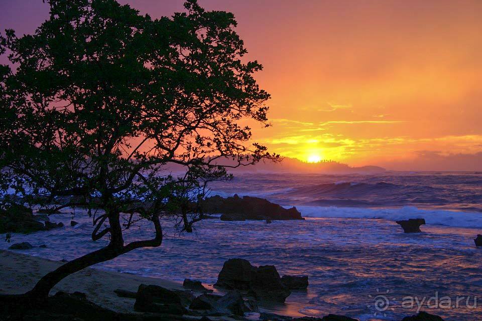 Отдых в Пуэрто-Рико