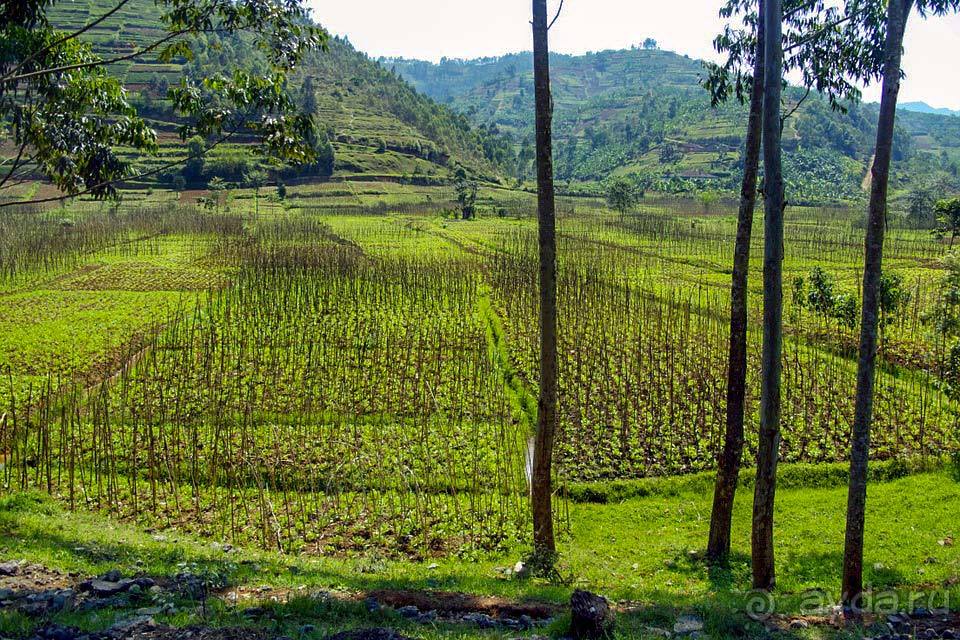 Отдых в Руанде