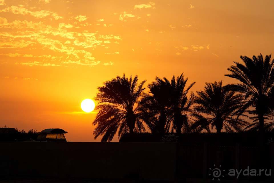 Отдых в Саудовской Аравии