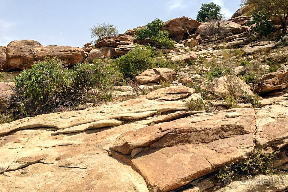 Отдых в Сомали