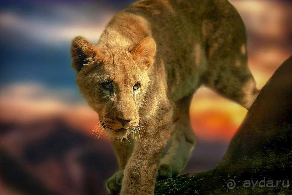 Отдых в ЮАР