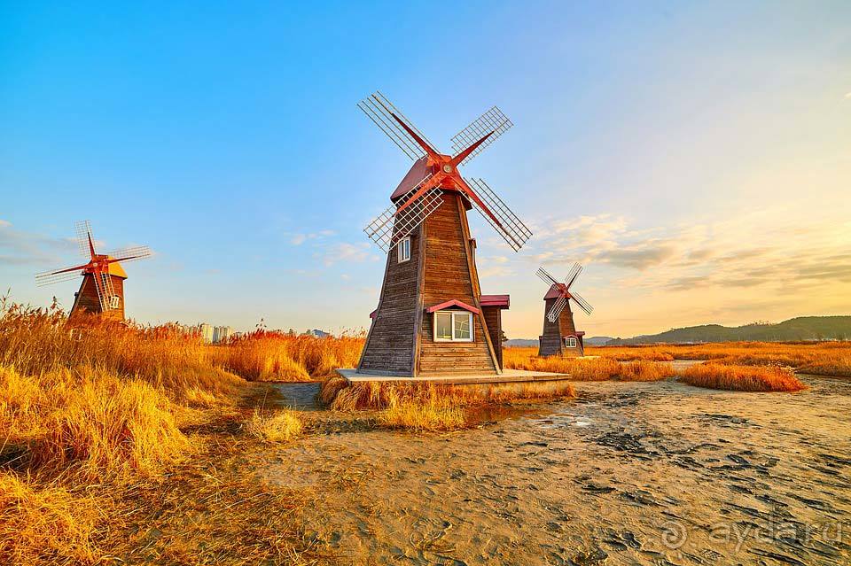 Отдых в Южной Корее