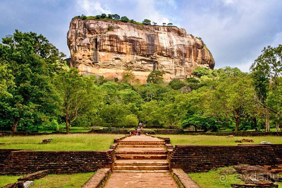 Отдых в Шри-Ланке