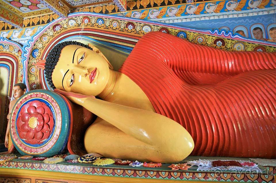 Отдых в Шри-Ланке