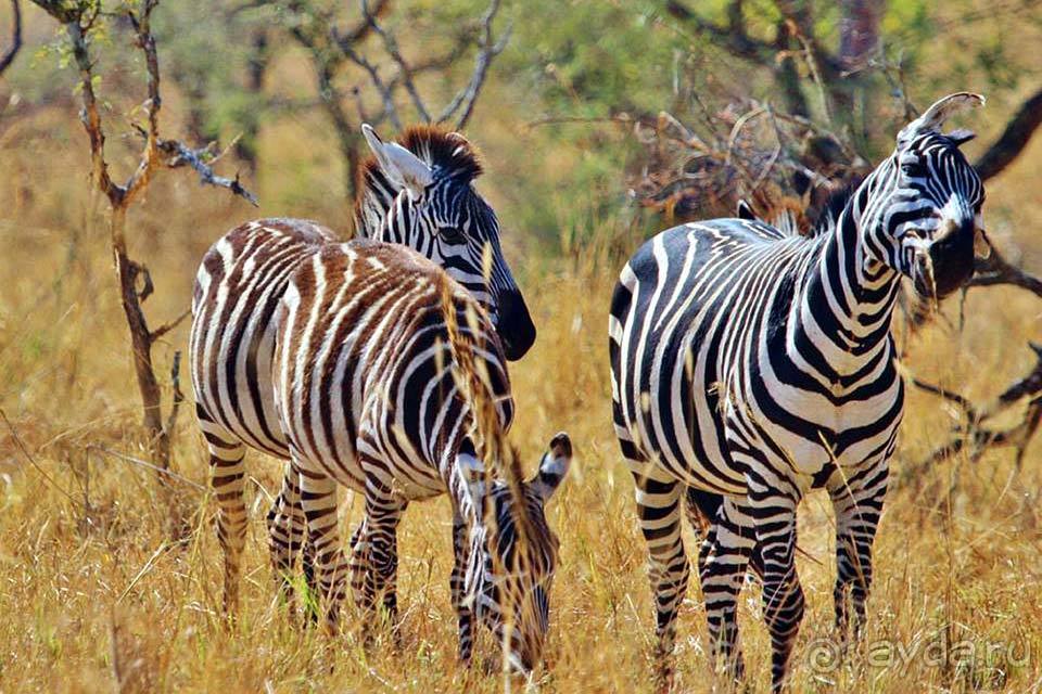 Отдых в Танзании