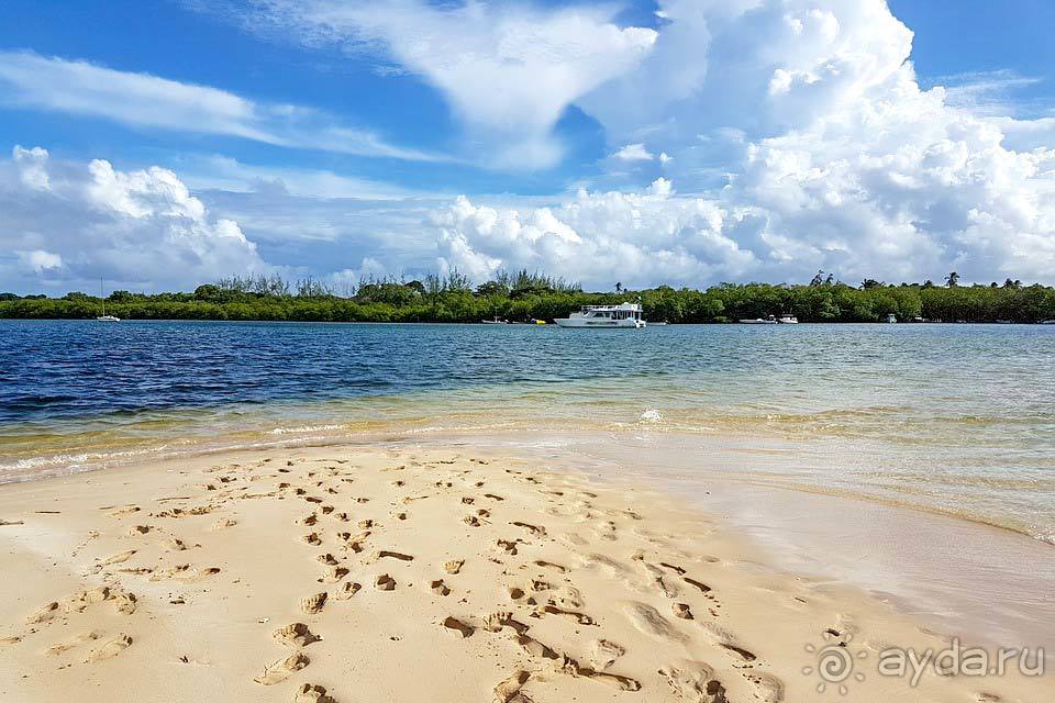 Отдых в Тринидаде и Тобаго