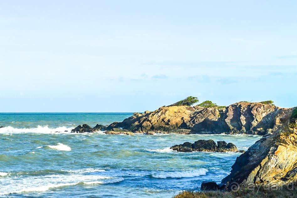 Отдых в Тринидаде и Тобаго