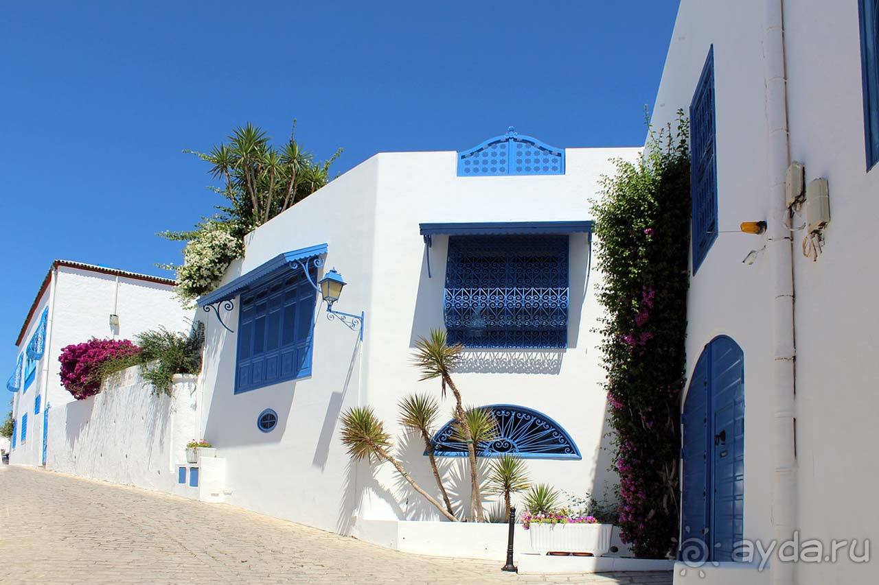 Отдых в Тунисе