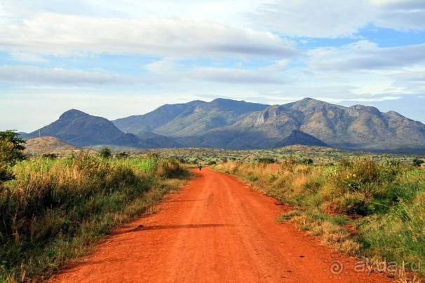 Отдых в Уганде