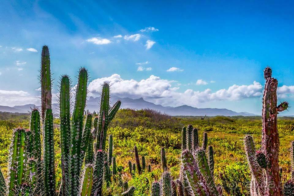 Отдых в Венесуэле