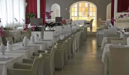 Сагаро фото