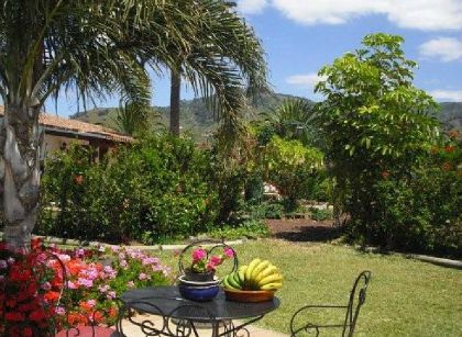 Техина фото