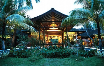 Кандидаса фото