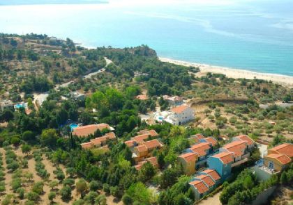 Лименария фото