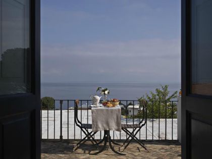 Мальфа фото