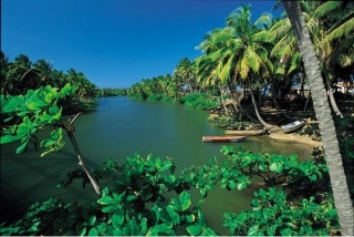 Экотуризм в Доминикане становится все более популярным