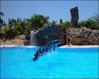 Канарские острова названы идеальным местом для семейного отдыха