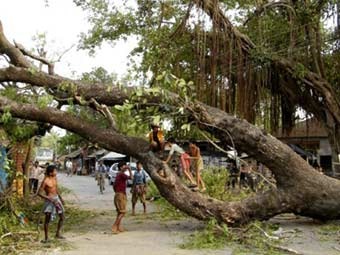 Ураган в Индии уносит жизни людей