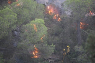 На Ибице бушует мощнейший пожар: есть жертвы, туристов эвакуируют в безопасные районы