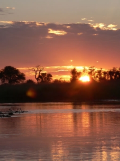 Река Каванго