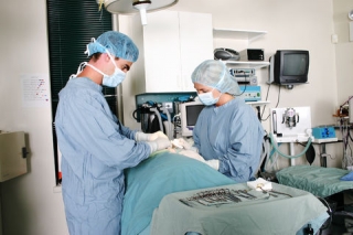 В Израиле собираются перекрыть кислород медицинскому туризму