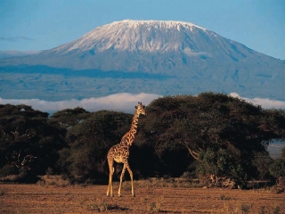 Килиманджаро - в центре туристических юбилейных мероприятий в Танзании